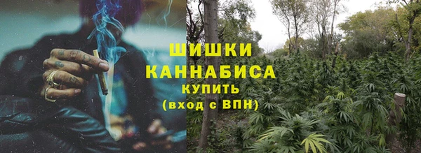 бошки Коряжма